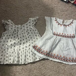 Lot of 2 cute tops for little girls